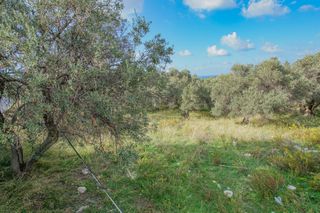 Οικόπεδο 4.783 τ.μ. για πώληση, Ν. Ρεθύμνου, Αρκάδι-thumb-2
