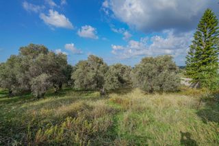 Οικόπεδο 4.783 τ.μ. για πώληση, Ν. Ρεθύμνου, Αρκάδι-thumb-5