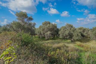Οικόπεδο 4.783 τ.μ. για πώληση, Ν. Ρεθύμνου, Αρκάδι-thumb-3