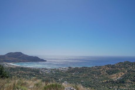 Αγροτεμάχια 5.752τ.μ. για πώληση-Φοινίκας