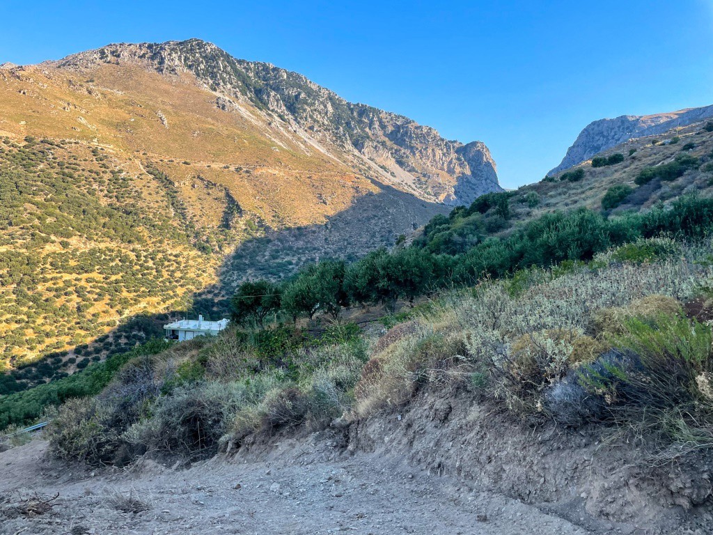 Αγροτεμάχια 5.752 τ.μ. πρός πώληση, Ν. Ρεθύμνου, Φοινίκας
