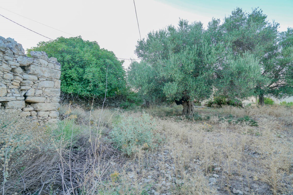 Οικόπεδο 556 τ.μ. προς πώληση, Φυλακή Γεωργιούπολης