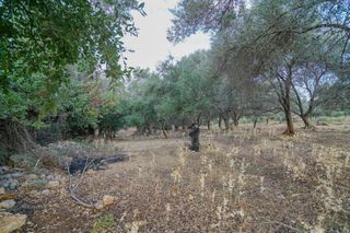 Αγροτεμάχια 800 τ.μ. για πώληση, Ν. Ρεθύμνου, Αρκάδι-thumb-4