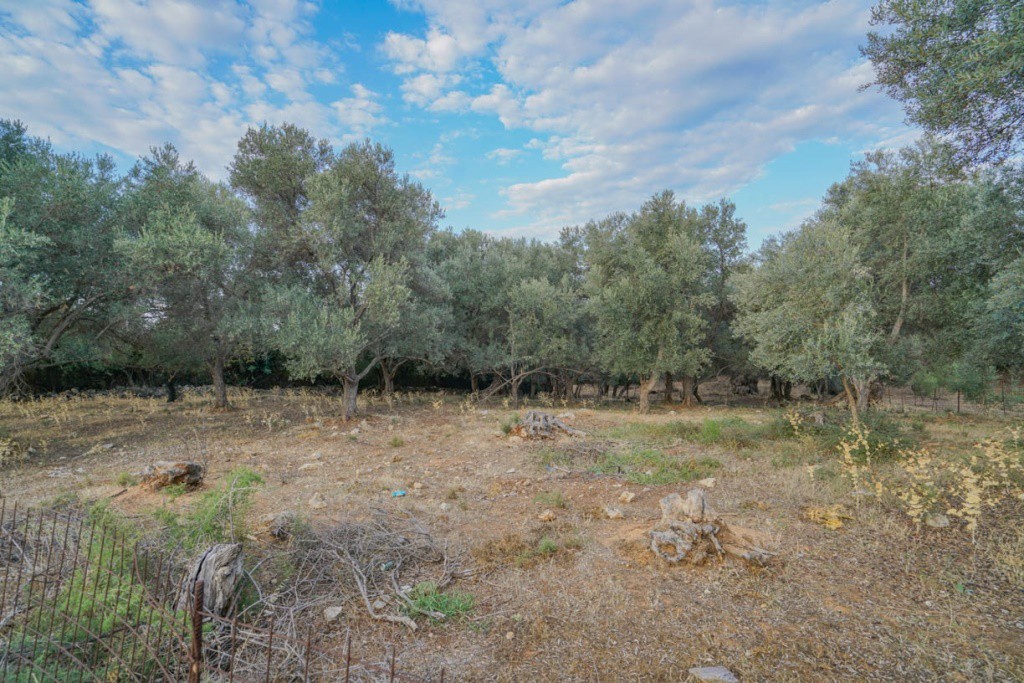 Αγροτεμάχια 800 τ.μ. προς πώληση, Ν. Ρεθύμνου, Αρκάδι