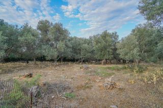 Αγροτεμάχια 800 τ.μ. για πώληση, Ν. Ρεθύμνου, Αρκάδι-thumb-1