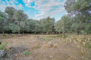 Αγροτεμάχια 800 τ.μ. για πώληση, Ν. Ρεθύμνου, Αρκάδι-thumb-2
