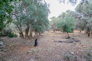 Αγροτεμάχια 800 τ.μ. για πώληση, Ν. Ρεθύμνου, Αρκάδι-thumb-5