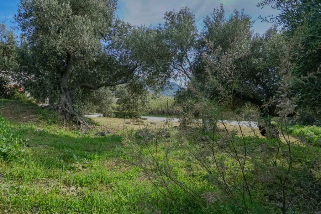 Οικόπεδο 256 τ.μ. πρός πώληση, Ν. Ρεθύμνου, Φοινίκας