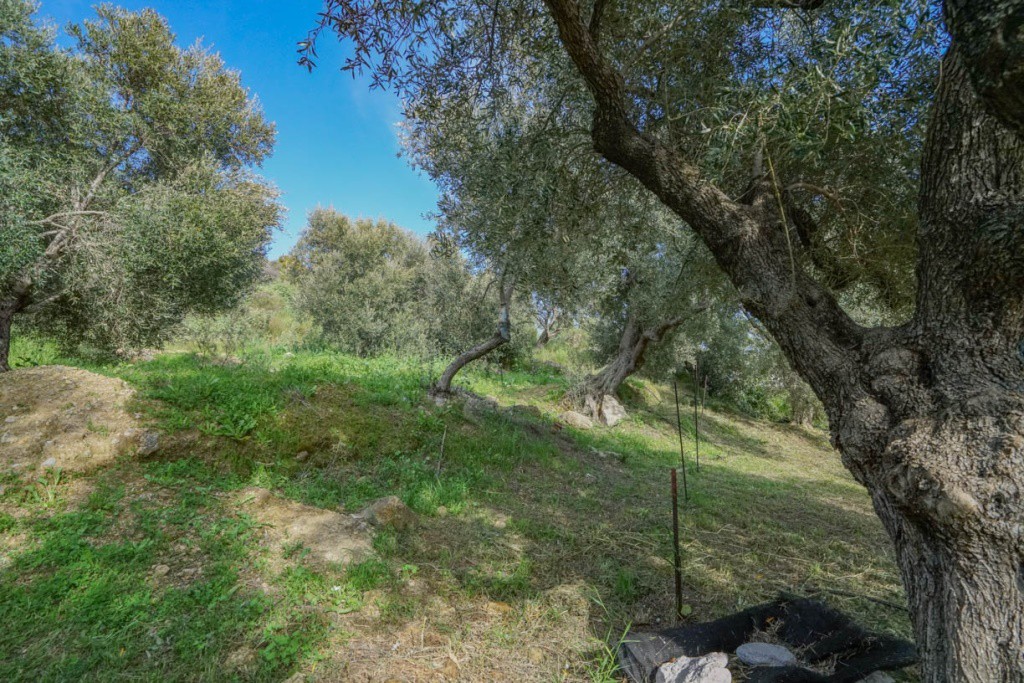 Οικόπεδο 256 τ.μ. πρός πώληση, Ν. Ρεθύμνου, Φοινίκας