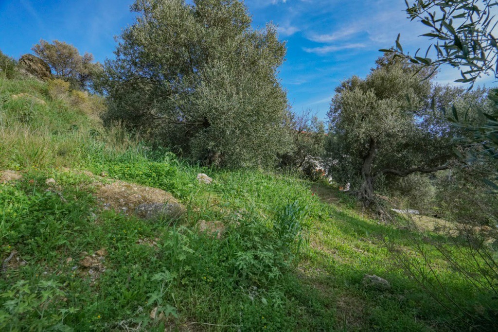 Οικόπεδο 256 τ.μ. πρός πώληση, Ν. Ρεθύμνου, Φοινίκας