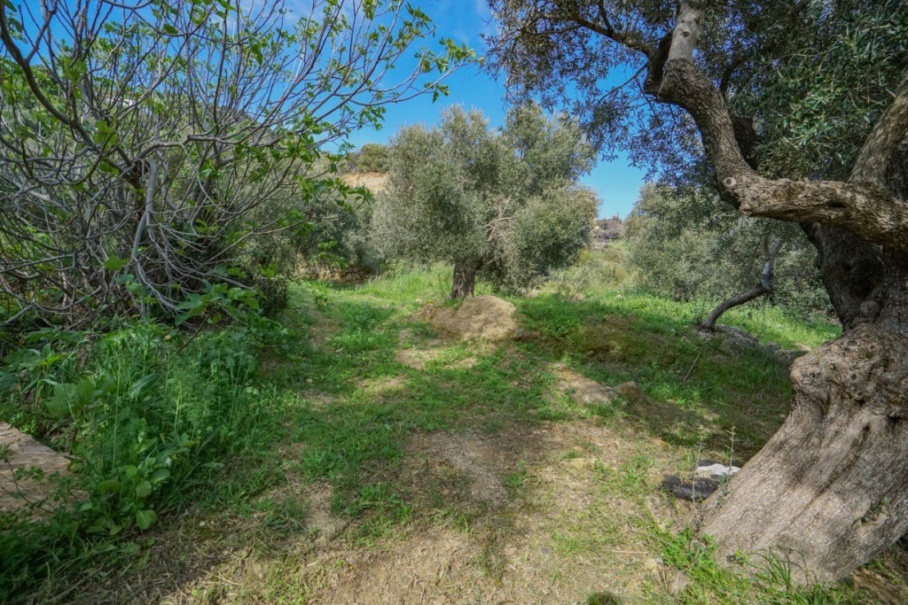Οικόπεδο 256 τ.μ. πρός πώληση, Ν. Ρεθύμνου, Φοινίκας