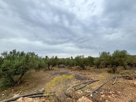 Αγροτεμάχια 8.209τ.μ. για πώληση-Γεροπόταμος
