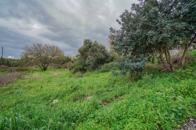 Οικόπεδο 1.006 τ.μ. για πώληση, Ν. Ρεθύμνου, Νικηφόρος Φωκάς