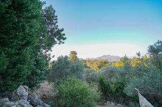 Αγροτεμάχια 5.253 τ.μ. προς πώληση, Ν. Ρεθύμνου, Γεροπόταμος-thumb-2