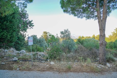 Αγροτεμάχια 5.253τ.μ. για πώληση-Γεροπόταμος