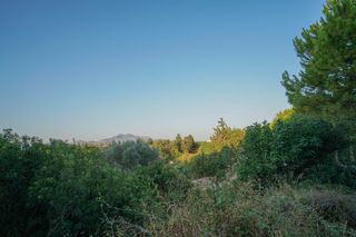 Αγροτεμάχια 5.253 τ.μ. προς πώληση, Ν. Ρεθύμνου, Γεροπόταμος-thumb-6