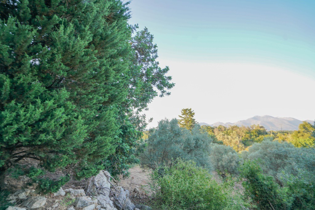 Αγροτεμάχια 5.253 τ.μ. προς πώληση, Ν. Ρεθύμνου, Γεροπόταμος