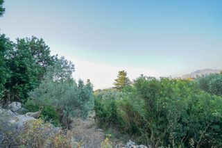 Αγροτεμάχια 5.253 τ.μ. προς πώληση, Ν. Ρεθύμνου, Γεροπόταμος-thumb-5