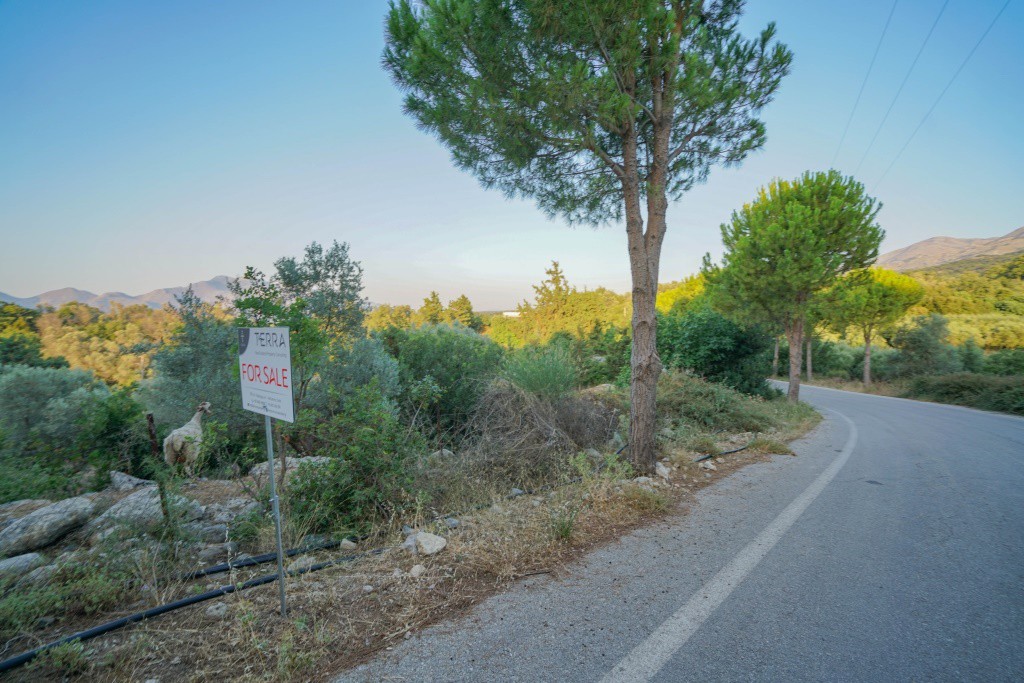 Αγροτεμάχια 5.253 τ.μ. προς πώληση, Ν. Ρεθύμνου, Γεροπόταμος