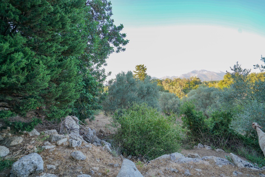 Αγροτεμάχια 5.253 τ.μ. προς πώληση, Ν. Ρεθύμνου, Γεροπόταμος