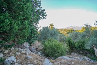 Αγροτεμάχια 5.253 τ.μ. προς πώληση, Ν. Ρεθύμνου, Γεροπόταμος-thumb-1