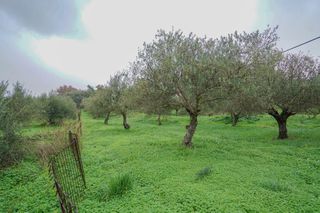 Οικόπεδο 2.103 τ.μ. για πώληση, Ν. Ρεθύμνου, Αρκάδι-thumb-4