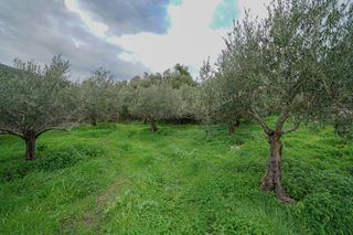 Οικόπεδο 2.103 τ.μ. για πώληση, Ν. Ρεθύμνου, Αρκάδι-thumb-10