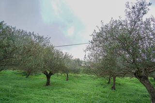 Οικόπεδο 2.103 τ.μ. για πώληση, Ν. Ρεθύμνου, Αρκάδι-thumb-2