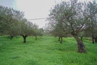 Οικόπεδο 2.103 τ.μ. για πώληση