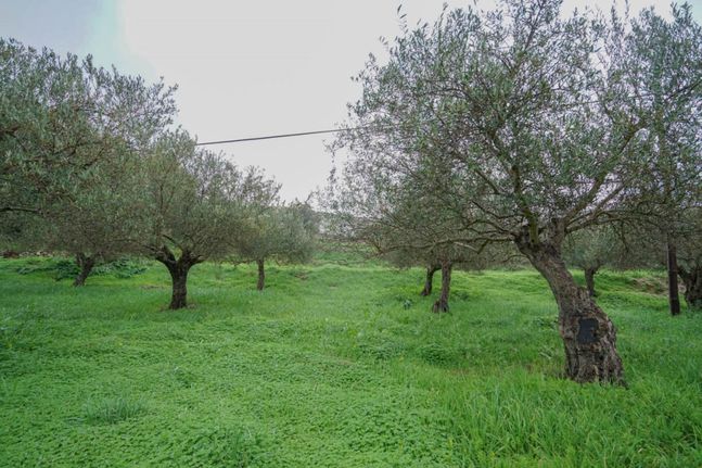 Land plot 2.103 sqm for sale, Rethymno Prefecture, Arkadi