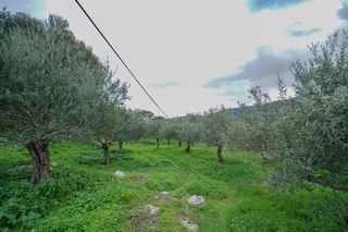 Οικόπεδο 2.103 τ.μ. για πώληση, Ν. Ρεθύμνου, Αρκάδι-thumb-9
