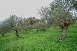 Οικόπεδο 2.103 τ.μ. για πώληση, Ν. Ρεθύμνου, Αρκάδι-thumb-5