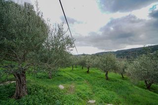 Οικόπεδο 2.103 τ.μ. για πώληση, Ν. Ρεθύμνου, Αρκάδι-thumb-11