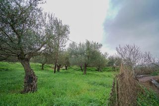 Οικόπεδο 2.103 τ.μ. για πώληση, Ν. Ρεθύμνου, Αρκάδι-thumb-1
