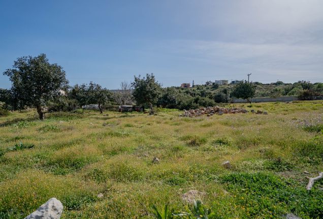 Parcel 3.850 sqm for sale, Rethymno Prefecture, Nikiforos Fokas