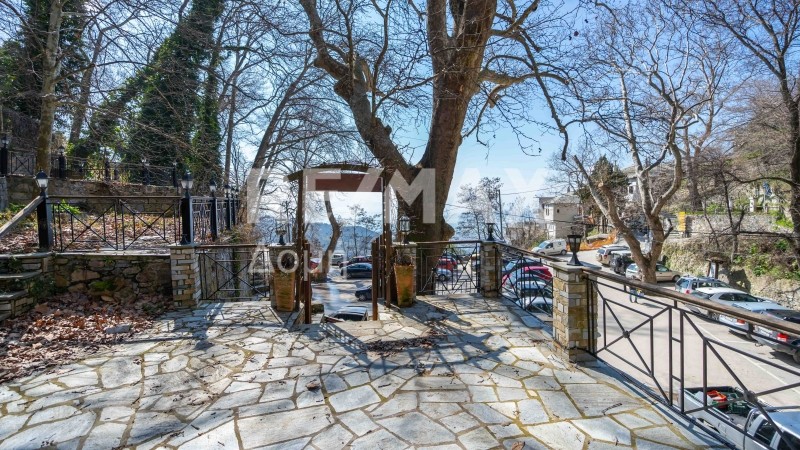 Μονοκατοικία 50 τ.μ. πρός πώληση, Μαγνησία, Μακρινίτσα