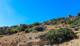 Αγροτεμάχια 6.456 τ.μ. για πώληση
