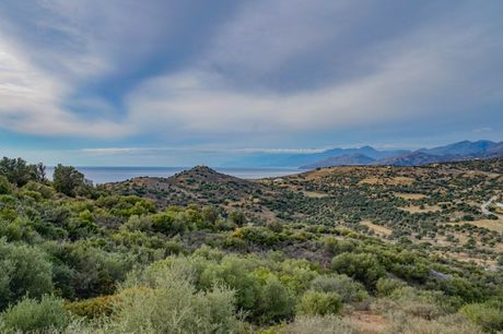 Αγροτεμάχια 2.600τ.μ. για πώληση-Λάμπη