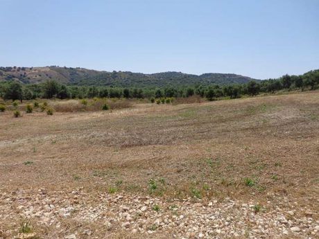 Αγροτεμάχια 8.102τ.μ. για πώληση-Νικηφόρος φωκάς