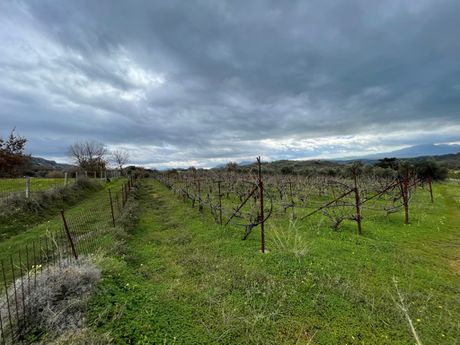 Αγροτεμάχια 8.430τ.μ. για πώληση-Ρέθυμνο