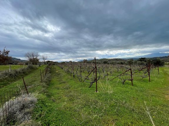 Parcel 8.430 sqm for sale, Rethymno Prefecture, Rethimno