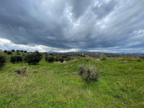 Αγροτεμάχια 4.007τ.μ. για πώληση-Ρέθυμνο