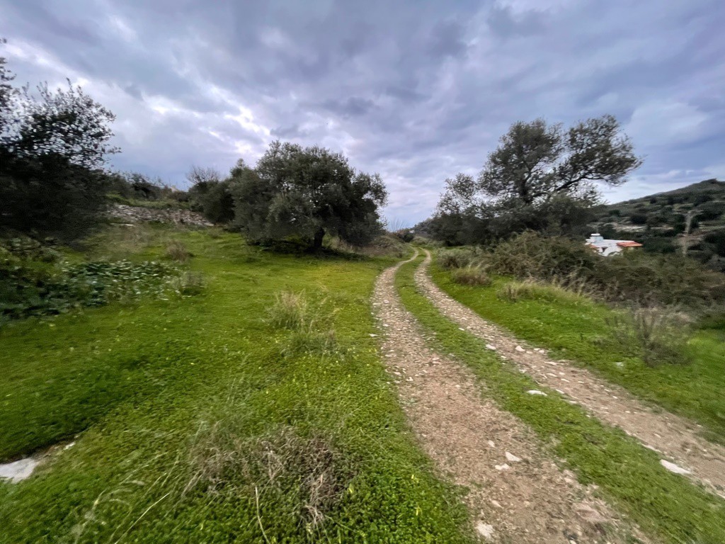 Αγροτεμάχια 5.543 τ.μ. πρός πώληση, Ν. Ρεθύμνου, Λάππα