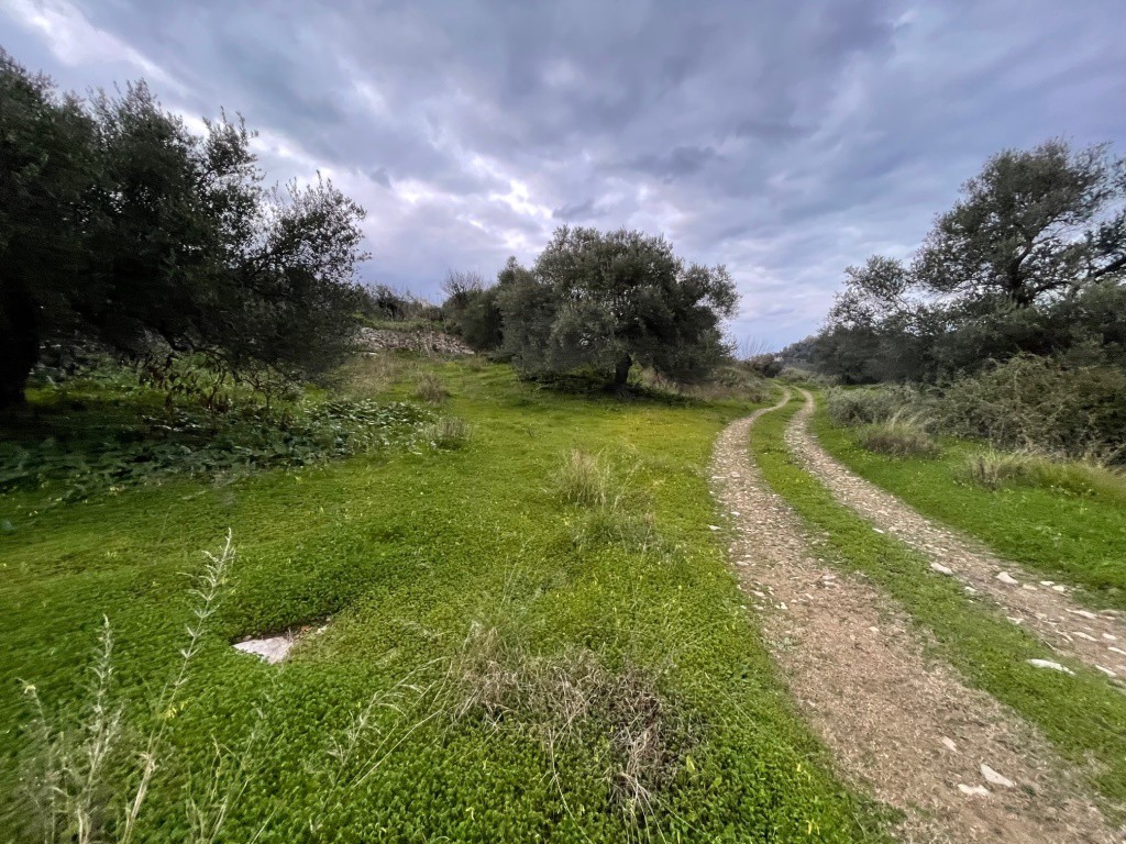 Αγροτεμάχια 5.543 τ.μ. πρός πώληση, Ν. Ρεθύμνου, Λάππα