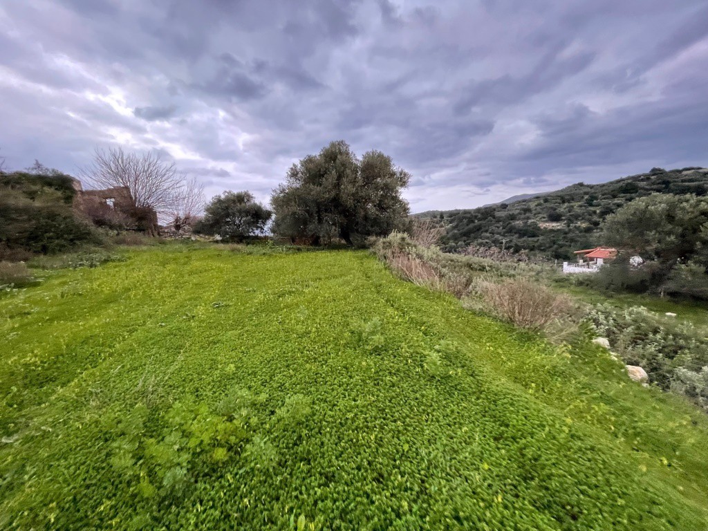 Αγροτεμάχια 5.543 τ.μ. πρός πώληση, Ν. Ρεθύμνου, Λάππα