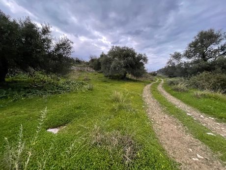 Οικόπεδο 2.770τ.μ. για πώληση-Λάππα