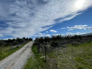 Αγροτεμάχια 8.500 τ.μ. προς πώληση, Έρφοι-thumb-11