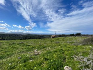 Αγροτεμάχια 8.500 τ.μ. προς πώληση, Έρφοι-thumb-1