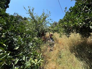 Οικόπεδο 780 τ.μ. για πώληση, Ν. Ρεθύμνου, Ρέθυμνο-thumb-1