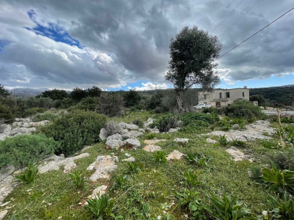 Οικόπεδο 1.292 τ.μ. πρός πώληση, Ν. Ρεθύμνου, Αρκάδι